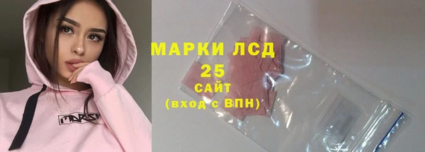 стафф Аркадак