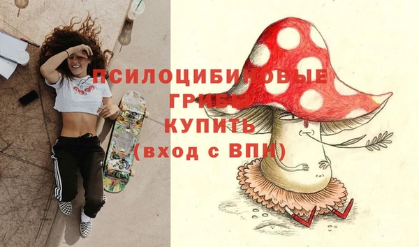 бошки Армянск