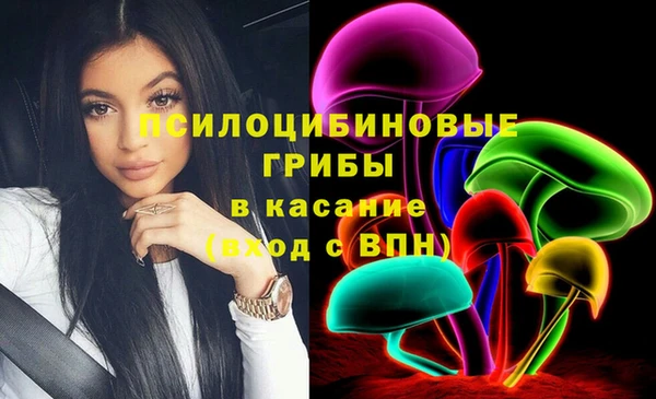 стафф Аркадак